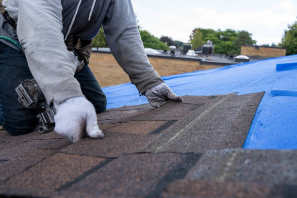 Best Flat Roofing  in Carmi, IL