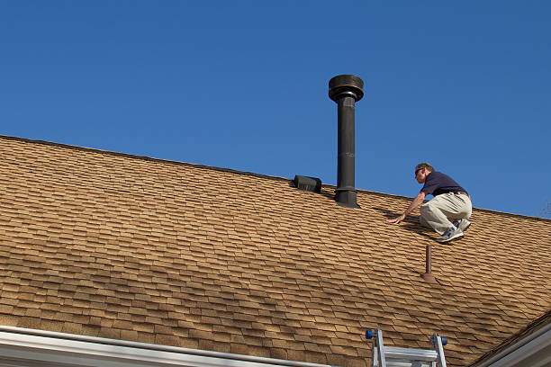 Best Roof Moss and Algae Removal  in Carmi, IL